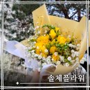 솔체 | 잠실 꽃집 24시 클래식부터 트렌디함까지 다채로운 솔체플라워 꽃다발 후기