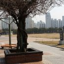 부천중앙공원 이미지