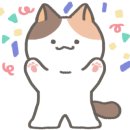 왕십리 고양이 위너펫 24시 이미지