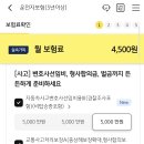 운전자보험을 잘아시는분 계실까요? 이미지