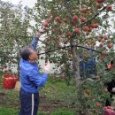 대흥농장2 이미지