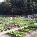 구민농장 이미지