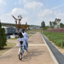 낙동이용소 이미지