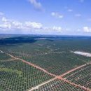 인수농장 이미지