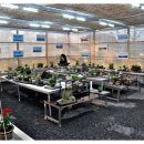 간세다리 이미지