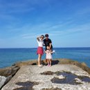 평창그린힐리조트 이미지