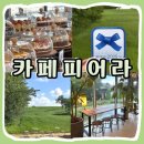 합덕오토바이 | [당진] 카페 피어라 8월 광복절 방문 후기 I 주차, 메뉴, 애견 동반 I 블루리본 3년 연속 선정