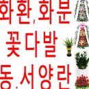 삼기면 괴소리 마을회관 | ◆곡성꽃집 아울렛!◈곡성군꽃집곡성읍刻화환,화분,꽃다발,조화星곡성꽃배달화원꽃가게