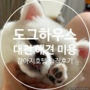 강아지네 애견하우스 | 대전 강아지 미용 및 애견 호텔 추천 도그하우스 재방문 후기