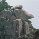 에덴모자 이미지