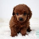 수원-0918 이미지