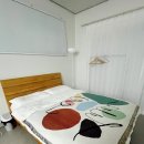 톨랑톨랑 이미지