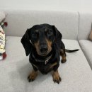 한남축산 이미지