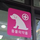 솔빛약국 이미지