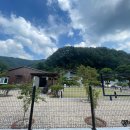 시고르까사
