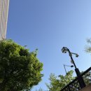 미진숯불갈비 | 광화문 미진숯불막창 야장 방문 솔직후기