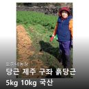 채열농장 | 도하네농장 제주 구좌 흙당근 5kg 10kg 국산 산지직송 주스용 찐후기
