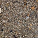 푸른별펜션 이미지