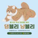 댕블리냥 이미지