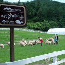 소금강마을 이미지