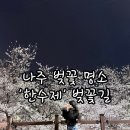 나주포차 | 나주 한수제 벚꽃 후기 주차장 야경 포차 정보까지