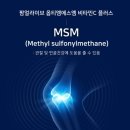팜얼라이브