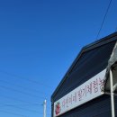 세븐일레븐 파주아동본점 | ౨ৎ (일산딸기체험 내돈내산 / 다인이네 딸기농장 / 파주뮤지엄헤이 / 산내음 / 프린세스티니핑 캡슐토이)