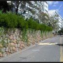 신우엘에스 이미지