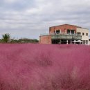 블랜드미(BLENDMI) 이미지