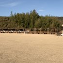 댕댕이 카페 | 부산근교 울산 애견카페 개들랜드 솔직후기 ｜넓은 운동장에 댕댕이 천국!