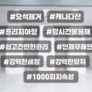 세정축산 이미지