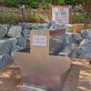 미포산업로 | 울산 주전 보밑항 피크닉장 - 무료로 즐기는 바다뷰 피크닉 (10월말-11월 방문 꿀팁포함)