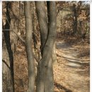 [도로]탑동 우방APT입구 삼거리 | [20090120]천보산맥 종주 답사[녹양역에서 투바위고개(회암고개)까지 - 3부