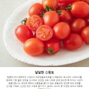 단마토유통 | 설탕 뿌린 듯 달콤한 마법, 스윗토 스테비아 대추방울토마토로 즐기는 건강한 디저트 타임