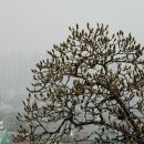 신금호역 이미지