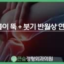 큰숲정형외과의원 이미지