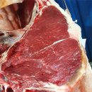 경기도축산진흥센터 이미지