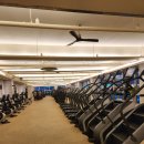 율하로R 이미지