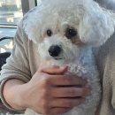 바로나도 수원영통 이미지