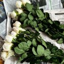 터미널지하도상가 화장실 | [고속터미널 꽃시장] 11만원으로 촬영용 셀프부케 4개 만든 현실 후기 영업시간 주차 팁