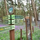 송림2리 이미지