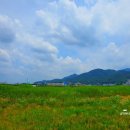 여주-1071 이미지