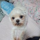대현동행정복지센터앞 이미지