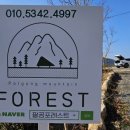 포레스트쉼 이미지