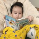 호호컴퍼니 이미지