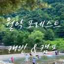 포레스트 월악 이미지