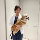 하모니동물병원 | 인천 강아지 건강검진 잘 보는 곳, 아롬동물암센터 방문 후기