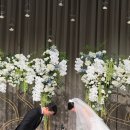 그레이트트리헤어 | Wedding 🕊️ 조선팰리스 웨딩 더그레이트홀 본식 후기 - 도어스냅, 세인트지지오티