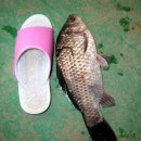 낙낙저수지 이미지