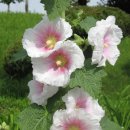 낙동강변로 이미지